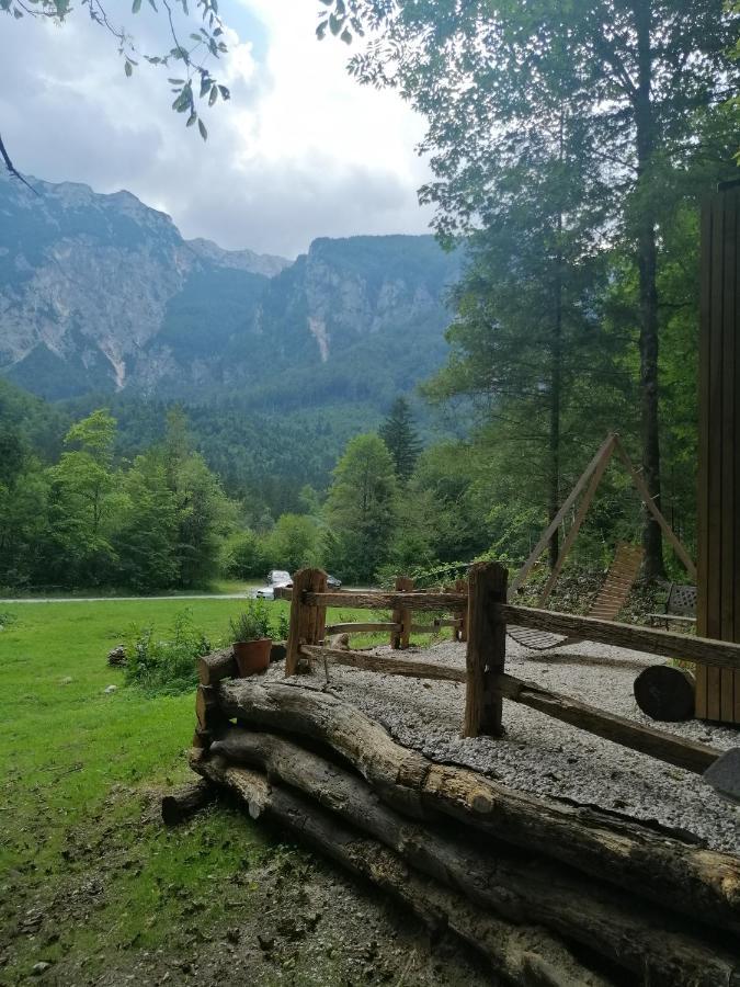 Kamniska BistricaSkalca别墅 外观 照片